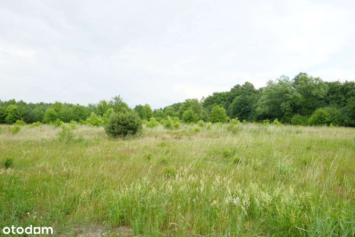 Wólka Smolana, gm. Brochów, 5 działek-6