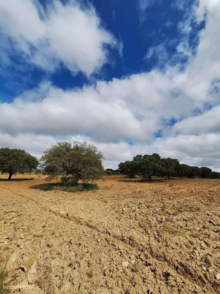 Venda Terreno - Grande imagem: 4/21