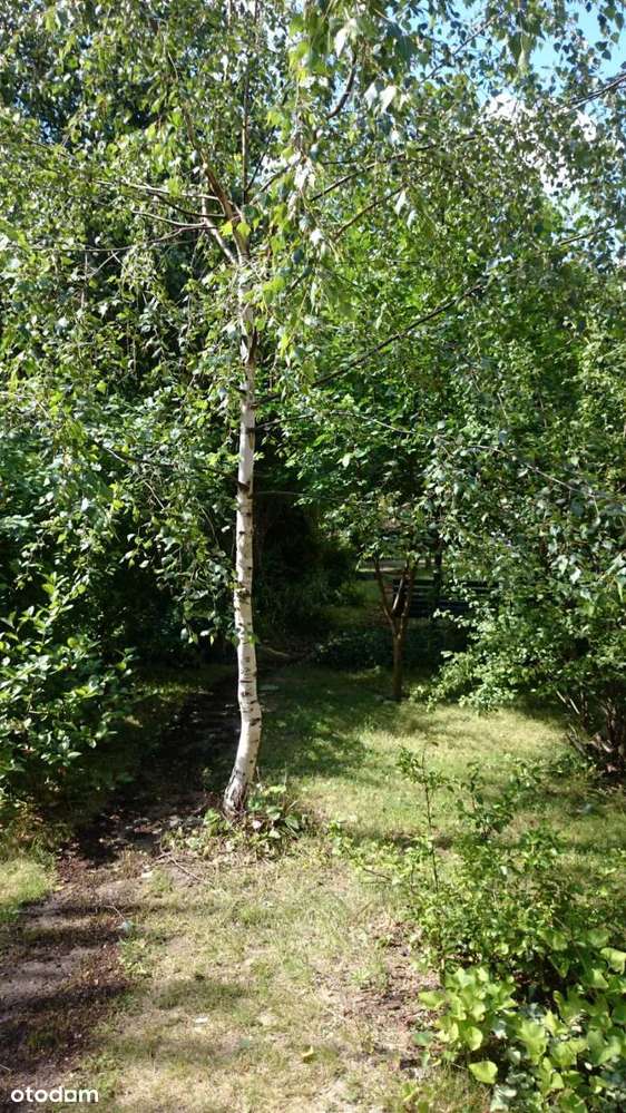 2-pokojowe 45 m² z balkonem i oddzielną kuchnią, duża piwnica-18