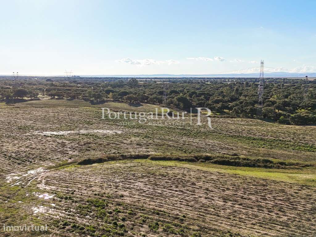 Herdade de 60 hectares para criação bovina e equina perto de Lisboa-16
