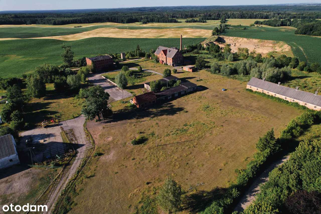 Sprzedam Folwark pod Brodnicą - łącznie 23ha - Pełny obrazek: 4/13