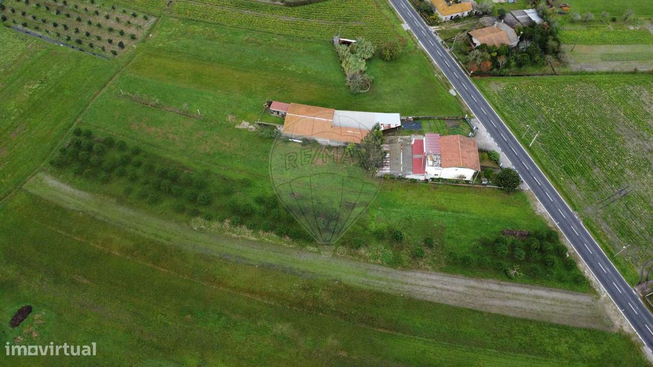 Terreno  para venda - Grande imagem: 5/13