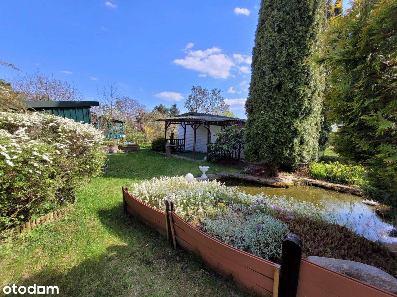 Działka Rod 300m na Paluchu - Pełny obrazek: 4/17