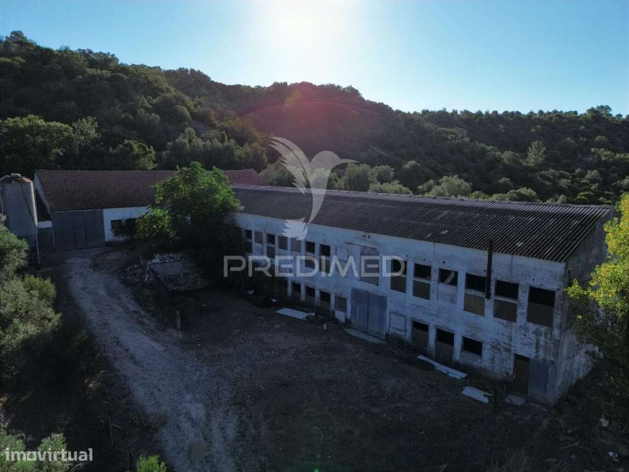 Oportunidade Única de Negócio - Aviário em Almajões, Santarém - Grande imagem: 5/34