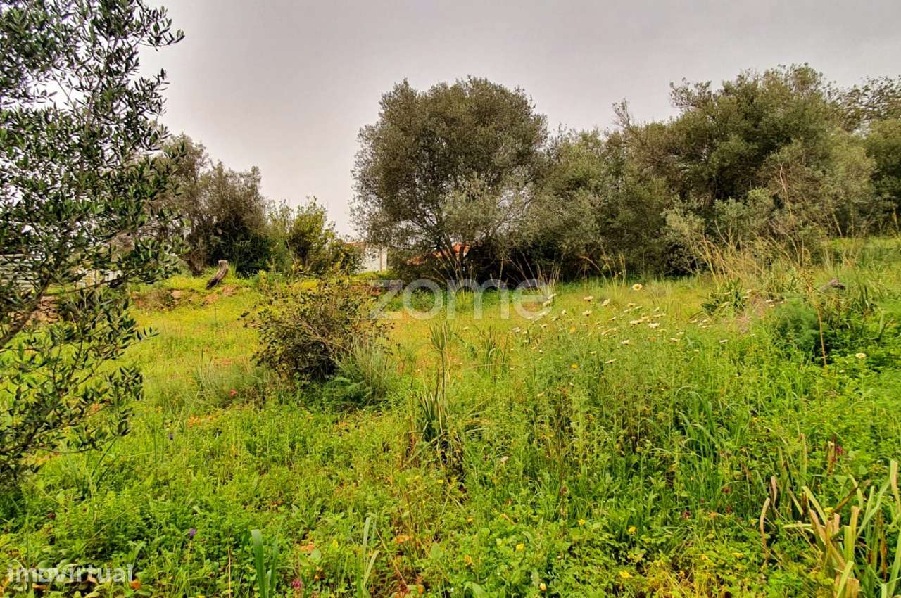 Terreno com viabilidade de Construção em Messines - Grande imagem: 2/18
