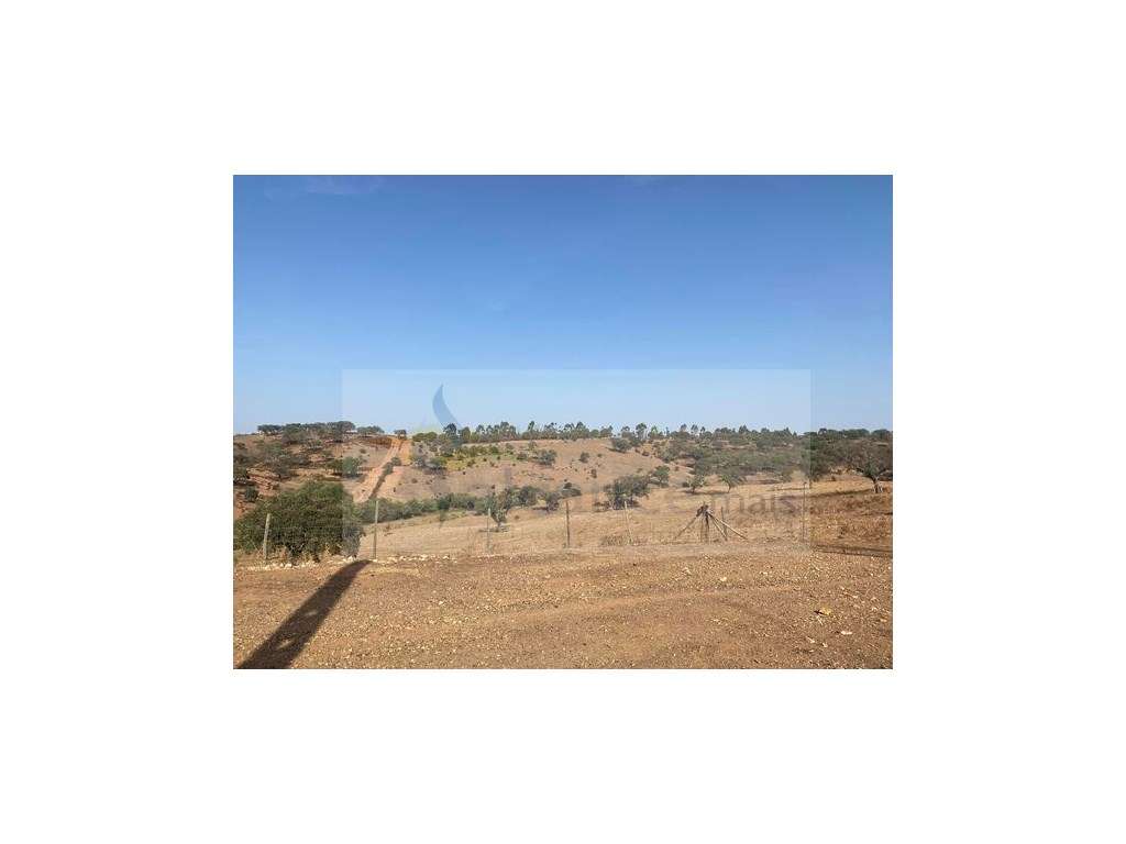 Propriedade de 35 ha - com Monte em Ruínas em Serpa - Grande imagem: 3/25