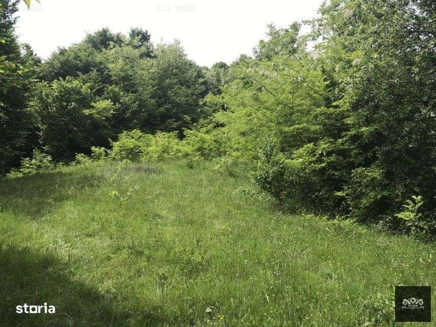 Vand teren in Albestii de Muscel faneata-pasune, partial impadurit - Imagine principală: 4/10