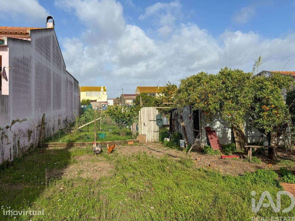 Terreno para construção em Benfica do Ribatejo - Grande imagem: 5/13