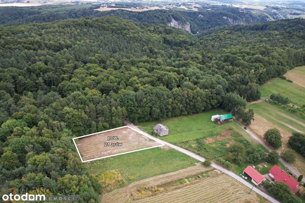 Działka, 2 100 m², Czajowice-2