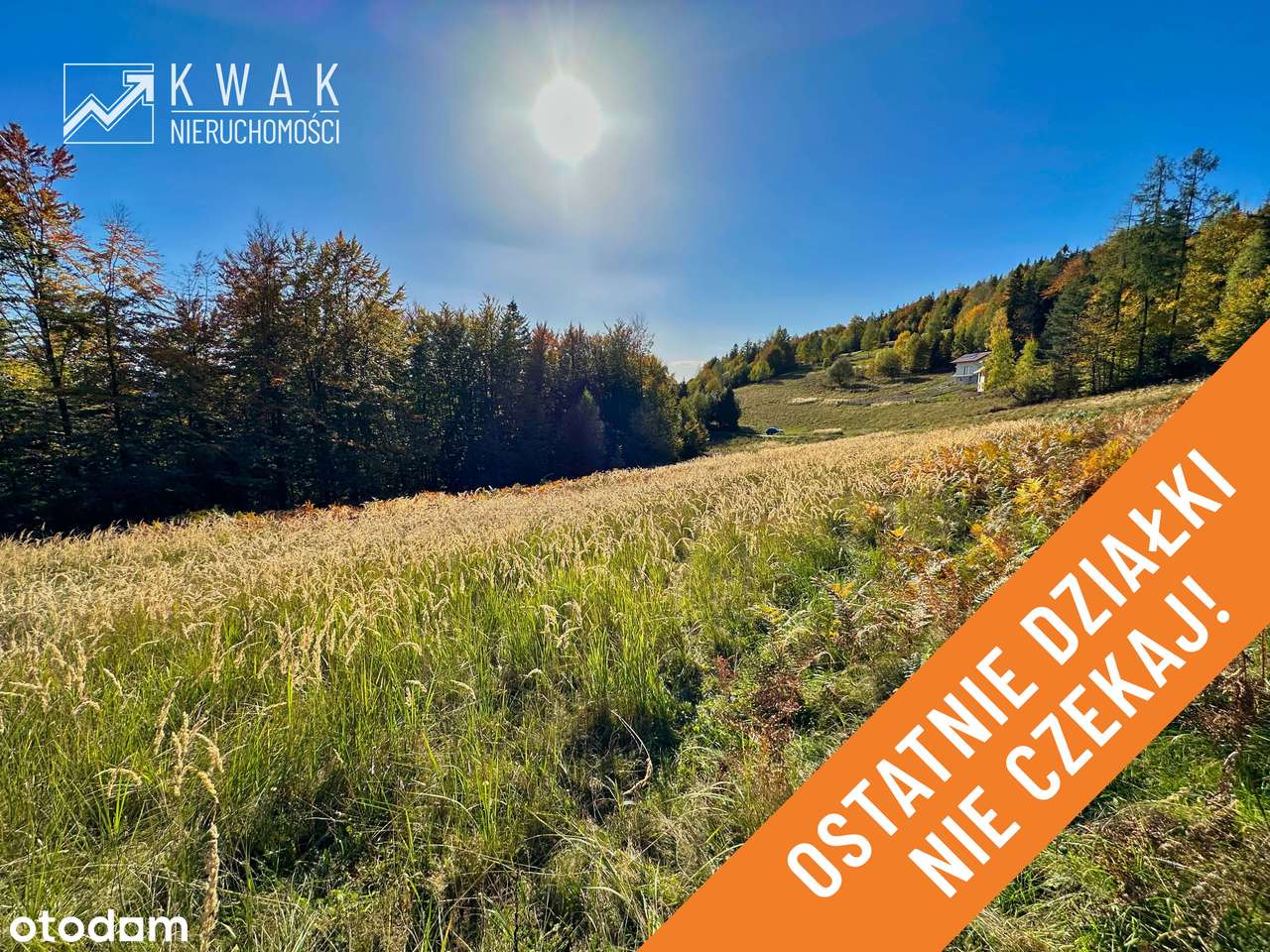 Działka pod Twój dom w górach Jeleśnia Janiki-0
