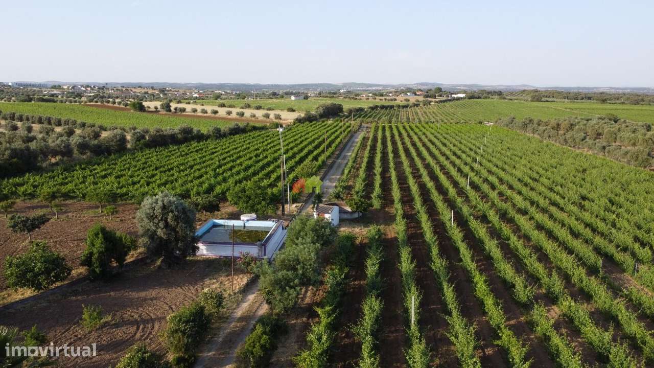 Quinta junto ao Grande Lago "ALQUEVA" - Grande imagem: 4/60