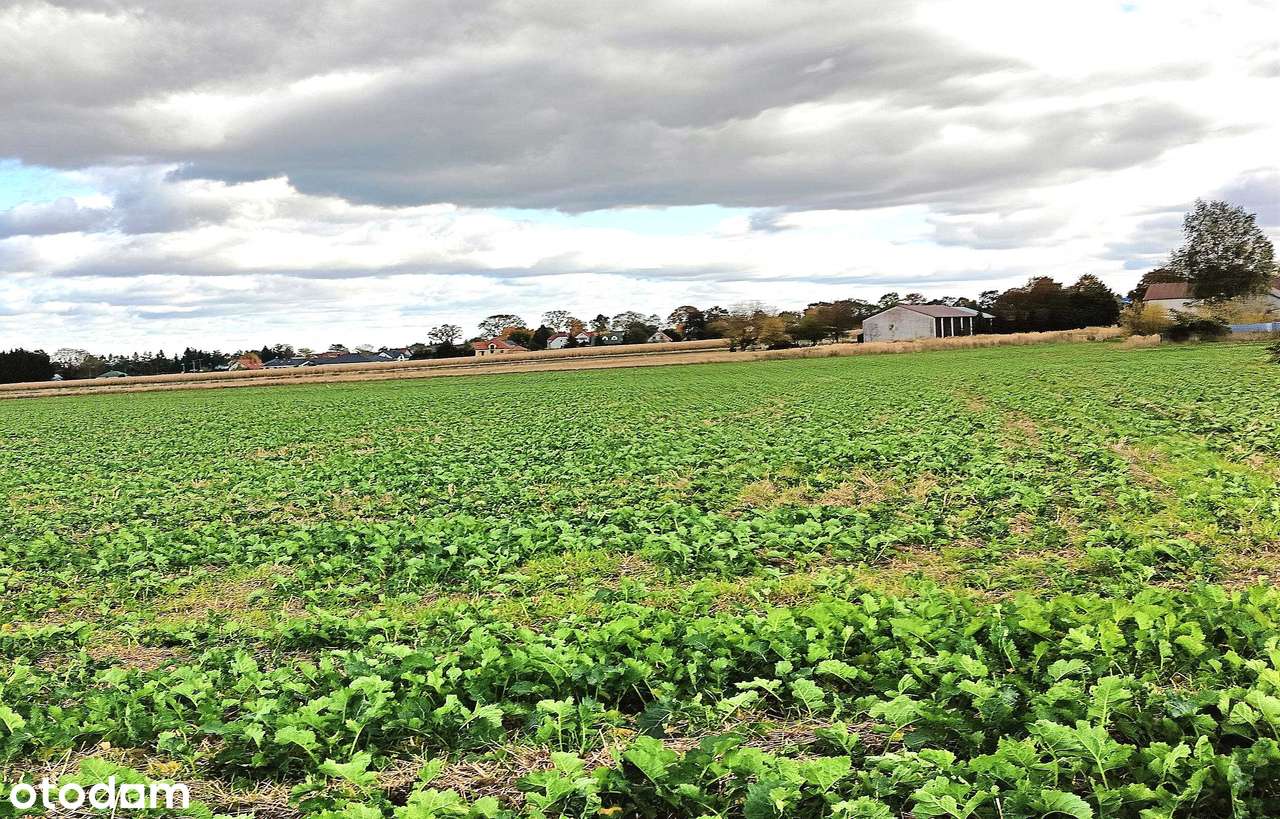 Działki budowlane Płoskie-5