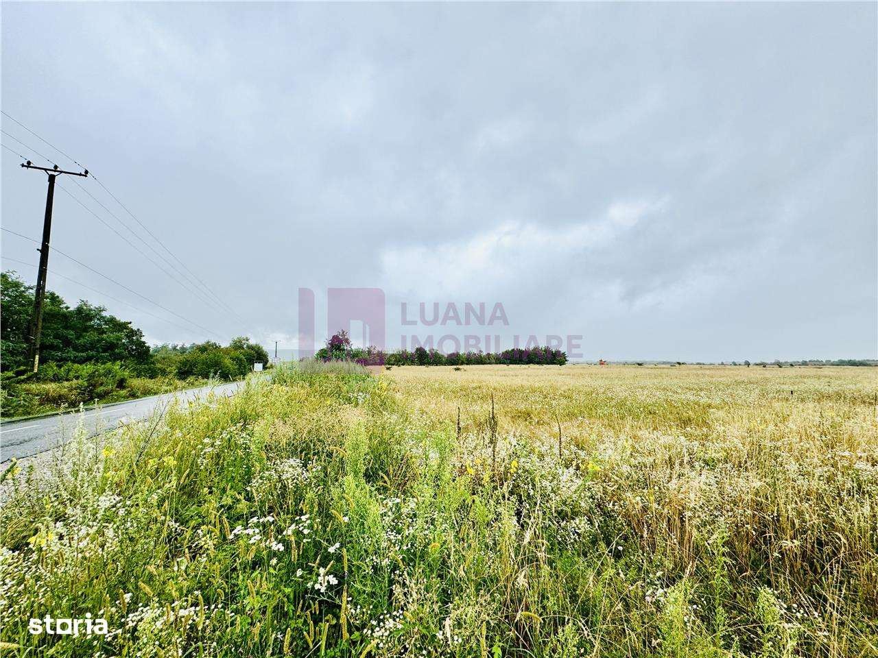 Teren intravilan 5.000 mp | Valea Avrigului | front dublu - Imagine principală: 1/4