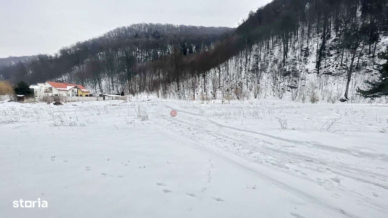 Teren intravilan - Sacele - Brasov - Imagine principală: 4/8