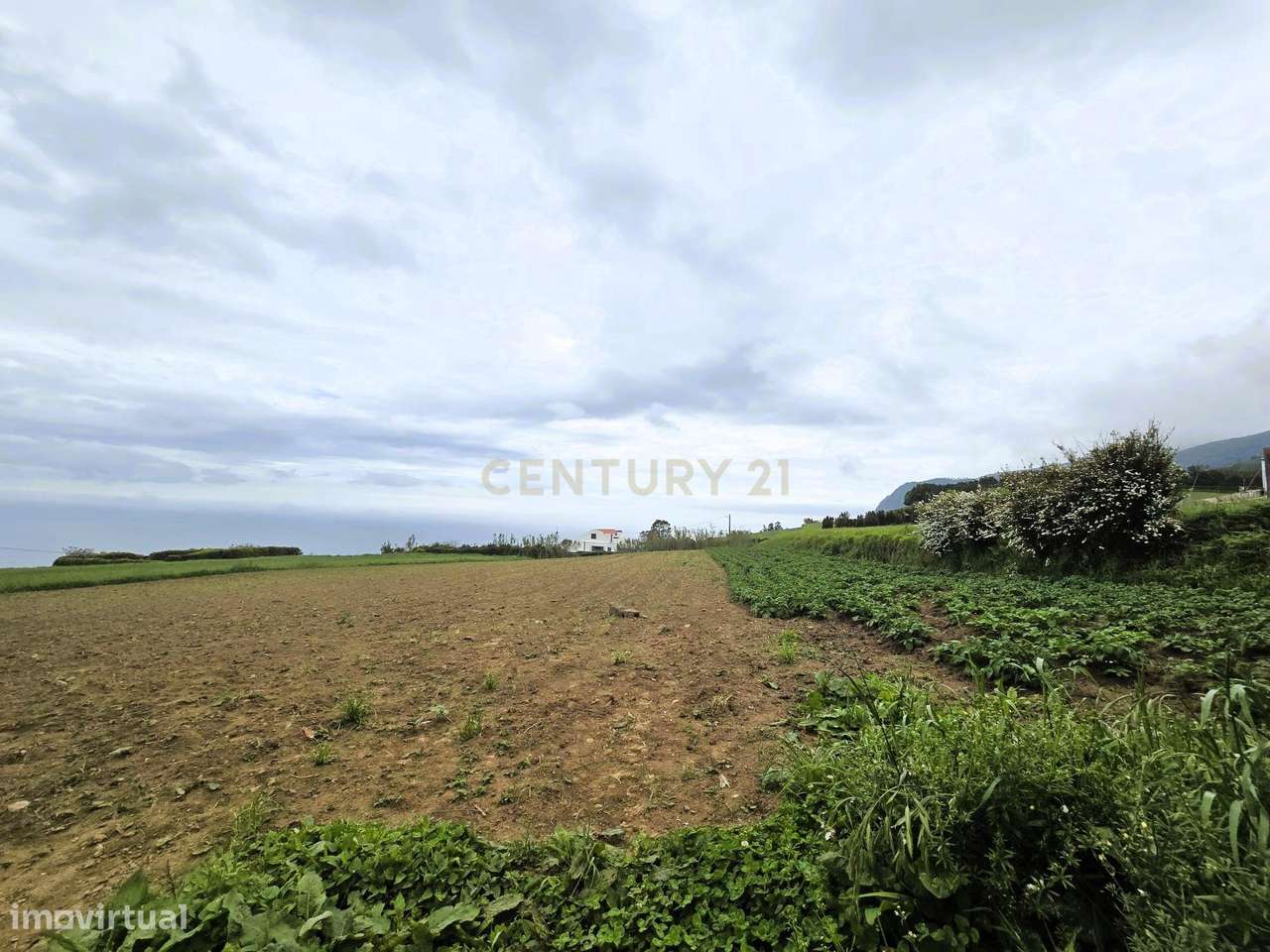 Terreno, 3 600 m², Nordeste - Grande imagem: 5/11