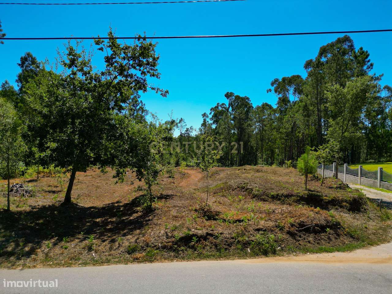 Lote de construção de 720 m2 em Friastelas no concelho Ponte de Lima - Grande imagem: 3/15