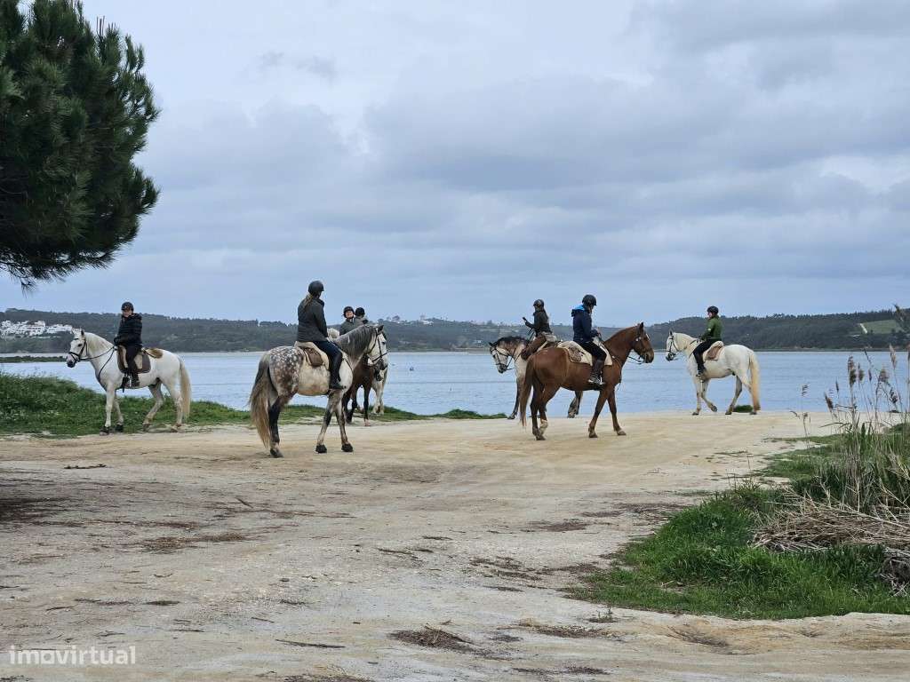 Lotes a 350 metros da Lagoa de Óbidos - Grande imagem: 5/6