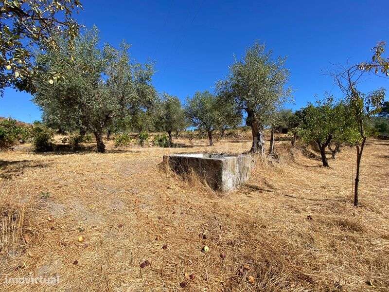 Quintinha / Fundão, Castelo Novo - Grande imagem: 5/11