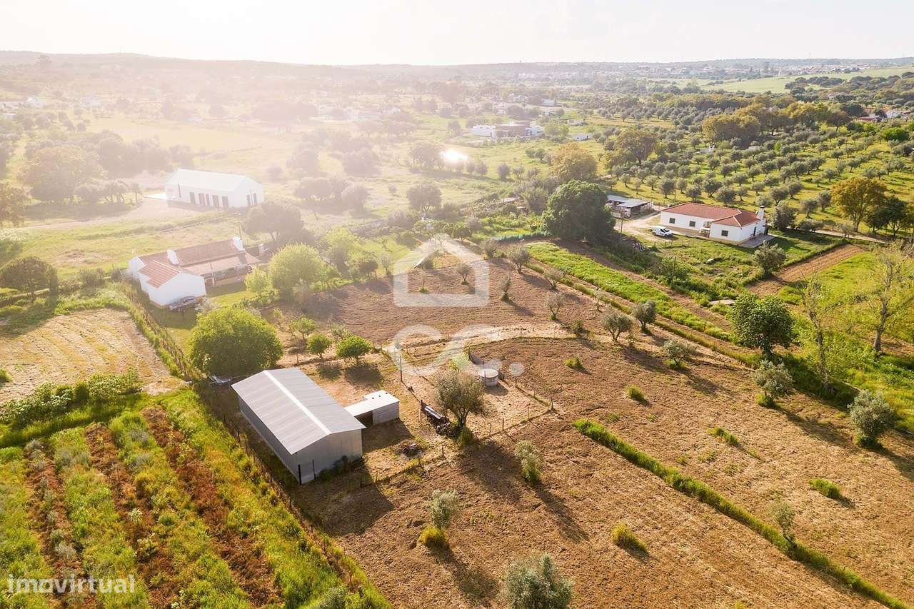 Quinta de 9250m2 c/ Moradia T4 térrea, anexo e armazém | Azaruja-47