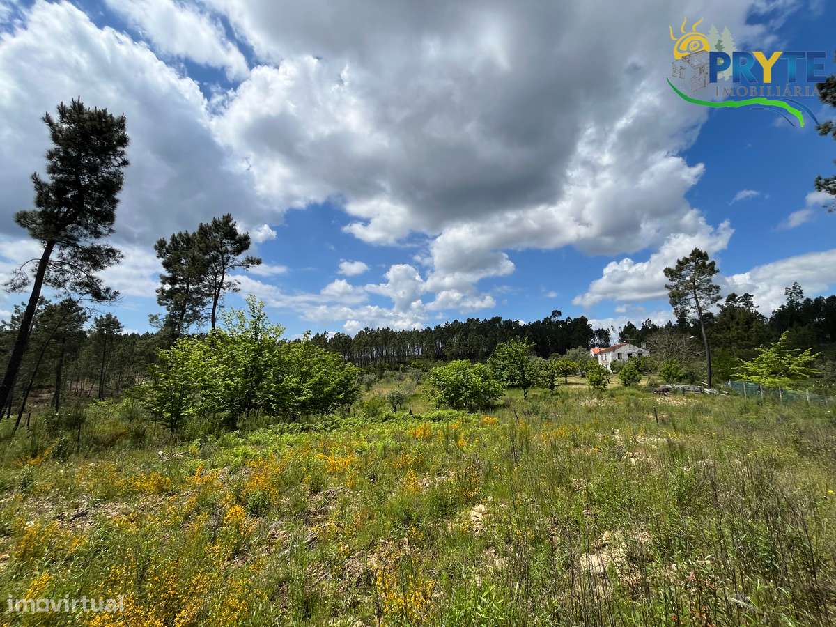 Quinta com 2 hectares de área total-sinónimo de privacidade e sossego-28