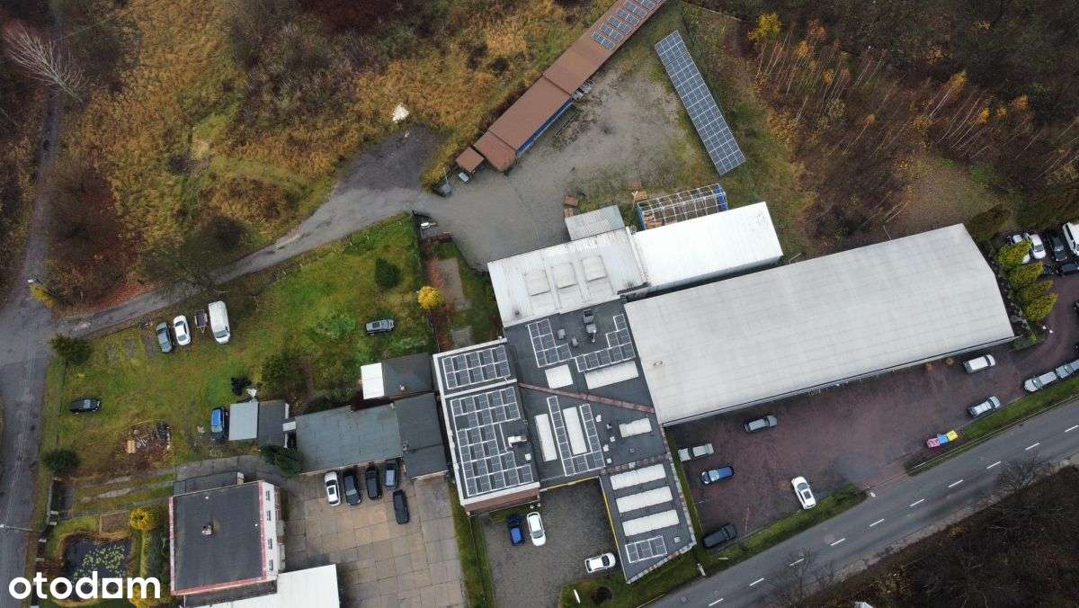 797764 - Pełny obrazek: 1/17