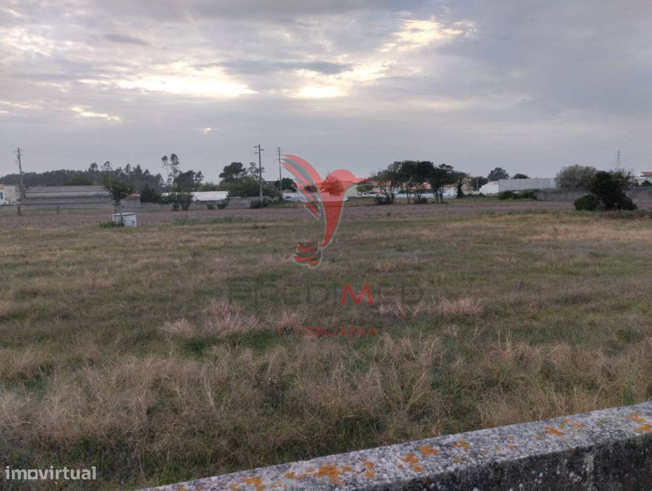 NOVIDADE - BEIRIZ, PÓVOA DE VARZIM - Grande imagem: 5/7