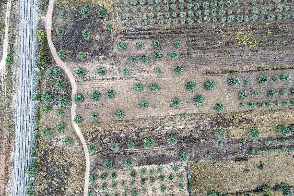 Industrial  para venda - Grande imagem: 3/7