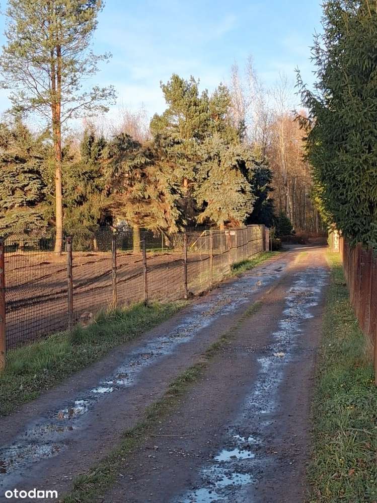 Coraz mniej działek-spiesz się!-działki budowlane-Żory Zachód - Pełny obrazek: 5/5