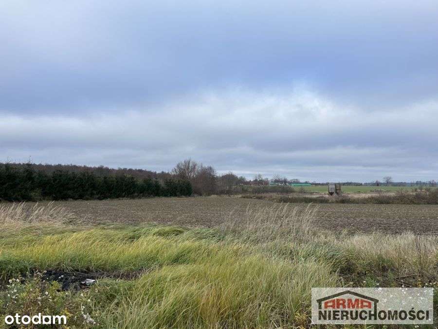 Działki 27 Km Od Morza - Pełny obrazek: 4/20