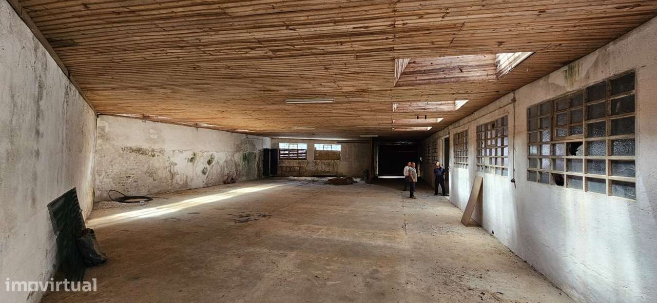 Armazém  Venda em Minde,Alcanena - Grande imagem: 2/18