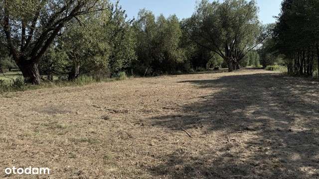 Super Okazja - Działka budowlana 6045 m² w spokojnej okolicy - Pełny obrazek: 5/8