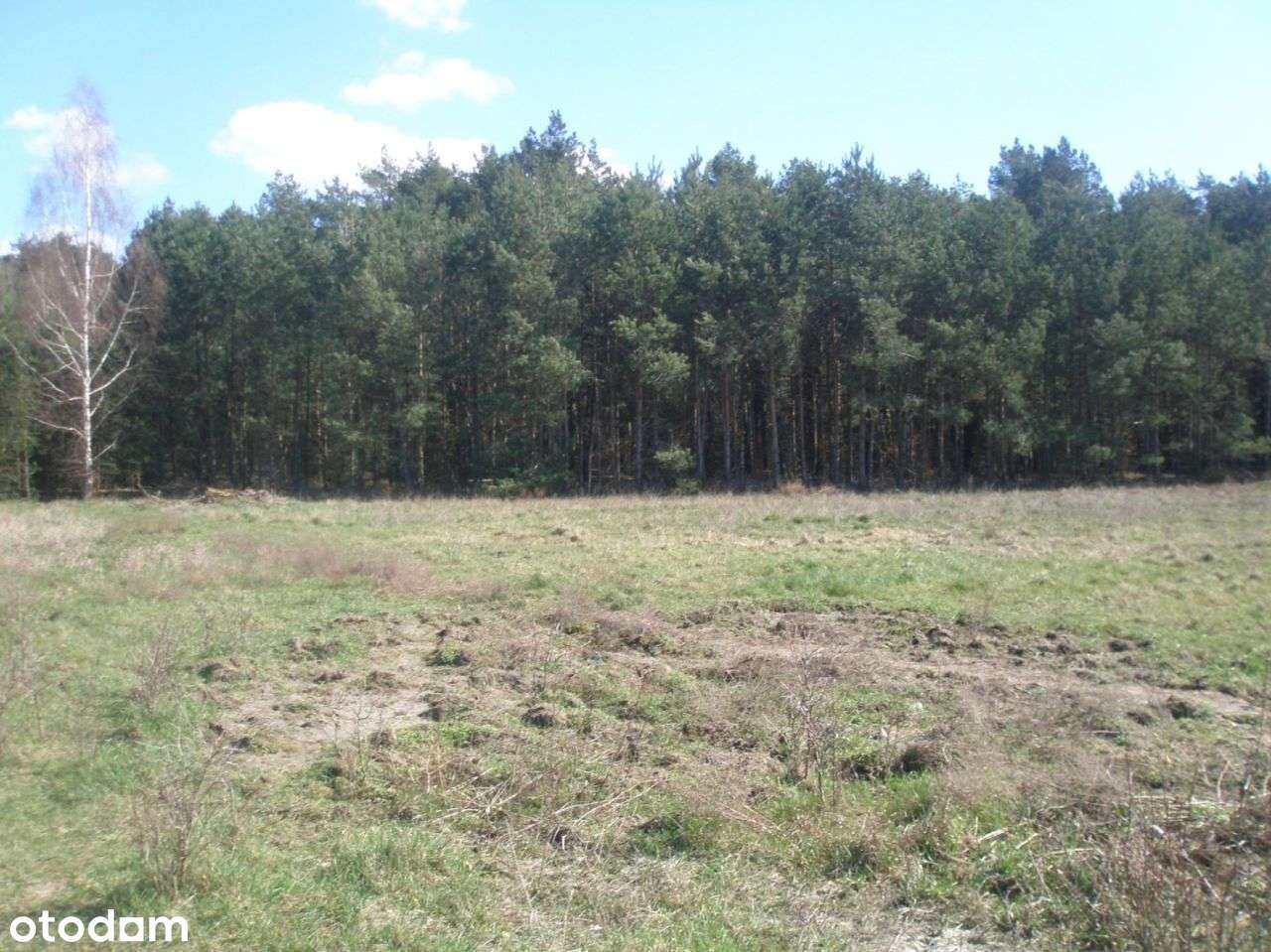 Działka, 1 030 m², Borówiec - Pełny obrazek: 3/9