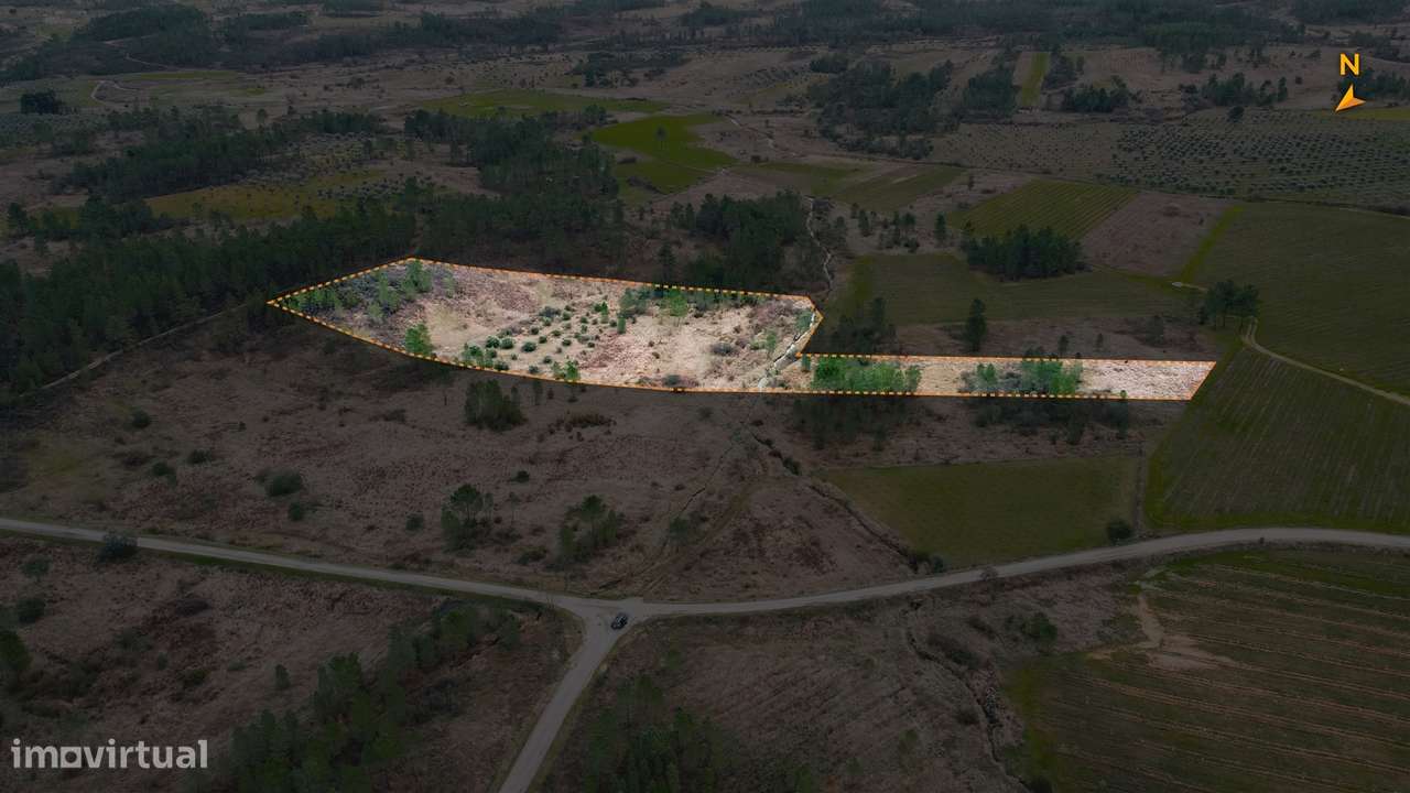 Quinta T0 Venda em Sarzedas,Castelo Branco - Grande imagem: 4/30