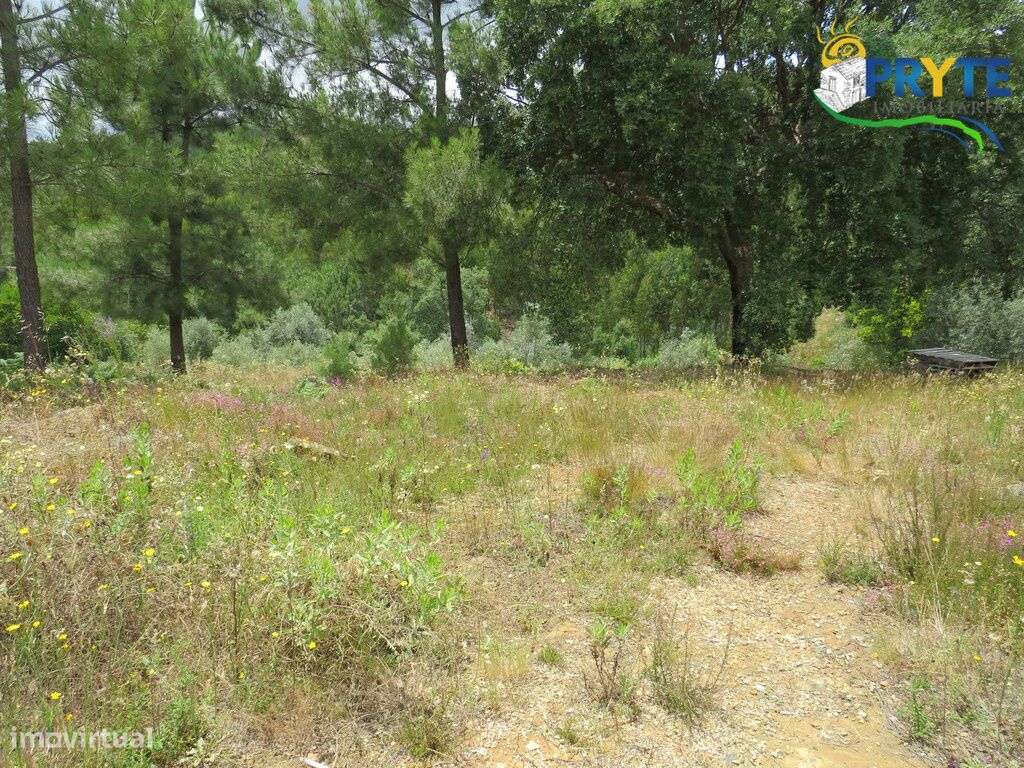 Pequena quinta situada próxima da Vila da Sertã - Grande imagem: 4/29