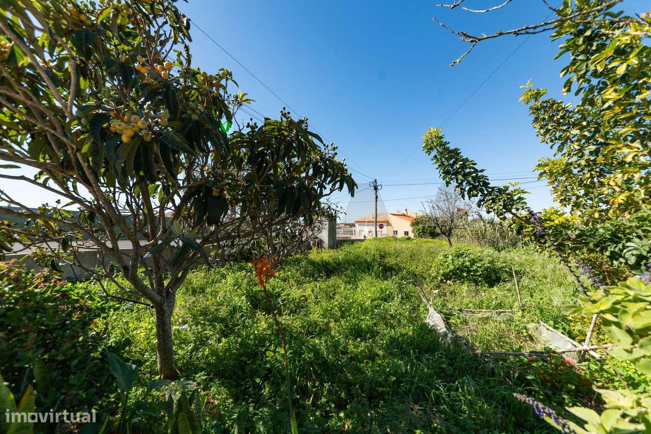 Moradia T4 com terreno em Sagres - Grande imagem: 4/26