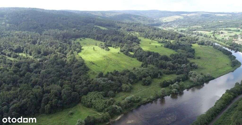 Polchowa Dubiecko 83,97ha woj. podkarpackie - Pełny obrazek: 4/10