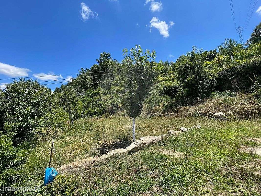 Terreno  para venda - Grande imagem: 5/6