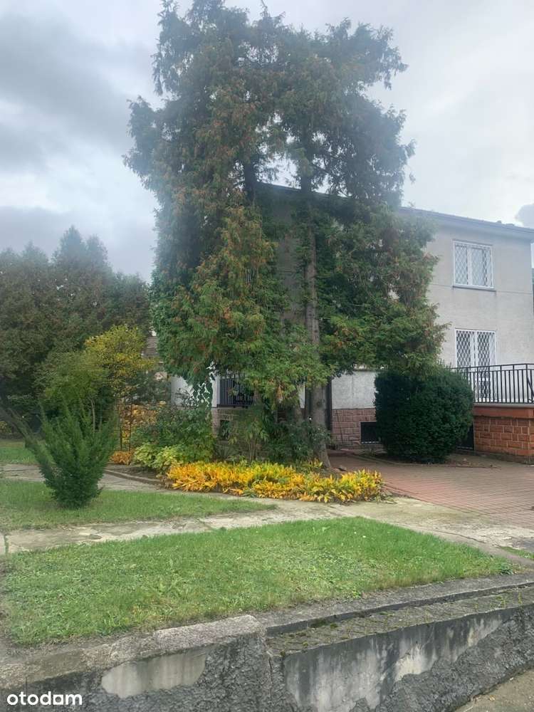 Nieruchomość mieszkalno-uslugowa w centrum Ożarowa Mazowieckiego - Pełny obrazek: 5/20