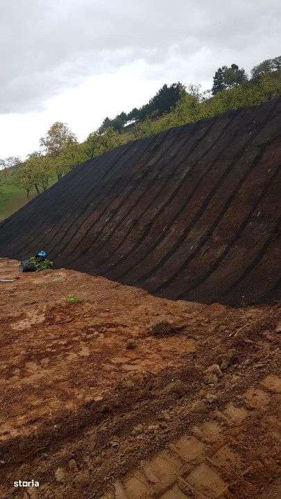 Teren intravilan, 729mp, Suceagu, Cluj - Imagine principală: 3/5