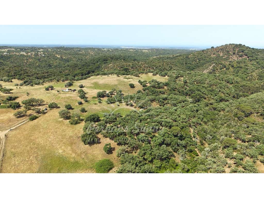 Terreno Misto - São Francisco da Serra - Melides-11