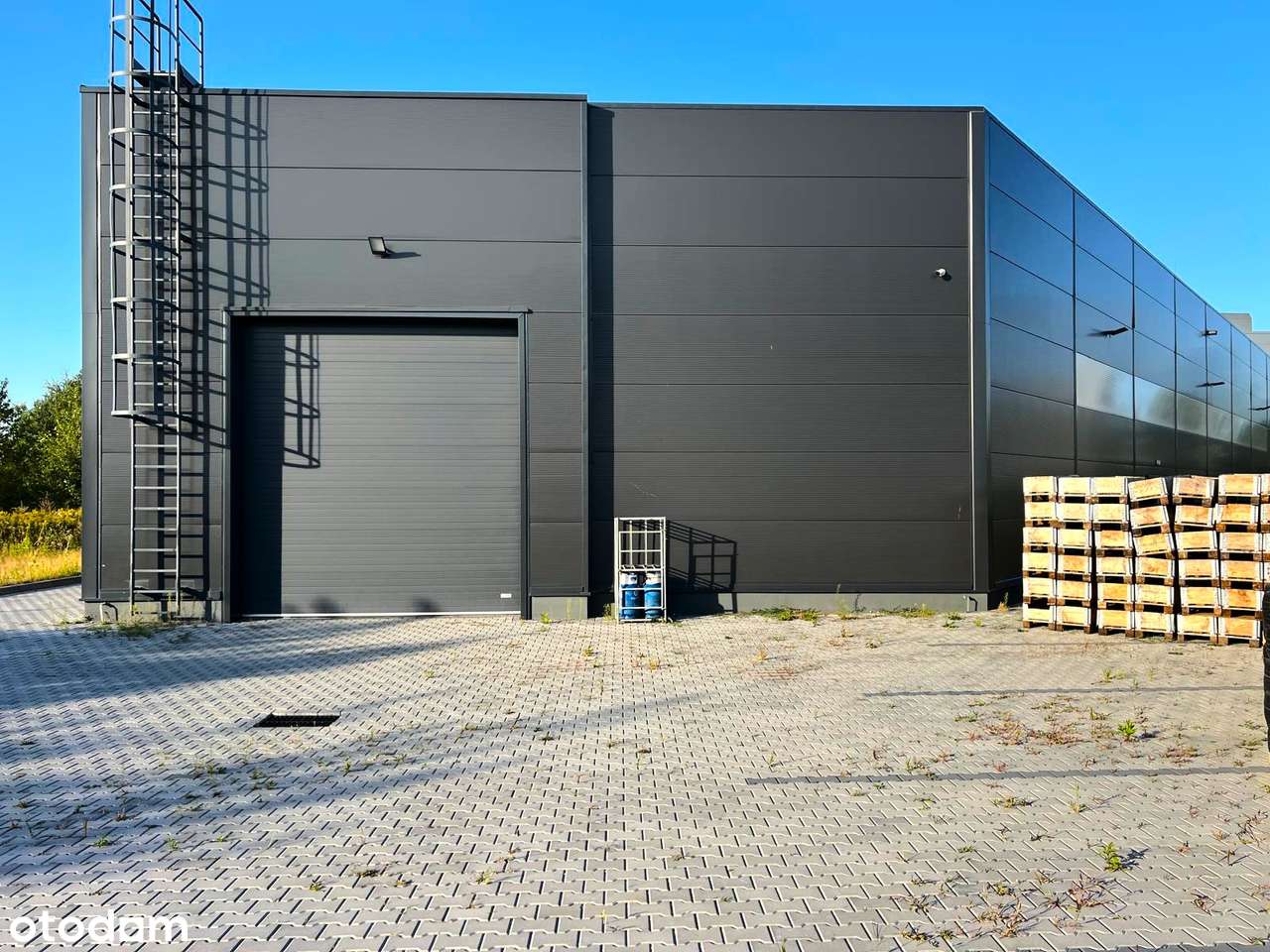 Hala na wynajem Jasionka przy lotnisku, Tajęcina - Pełny obrazek: 5/11