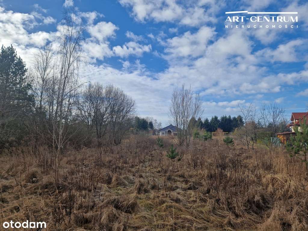 Działka Lisi Ogon - Pełny obrazek: 4/6