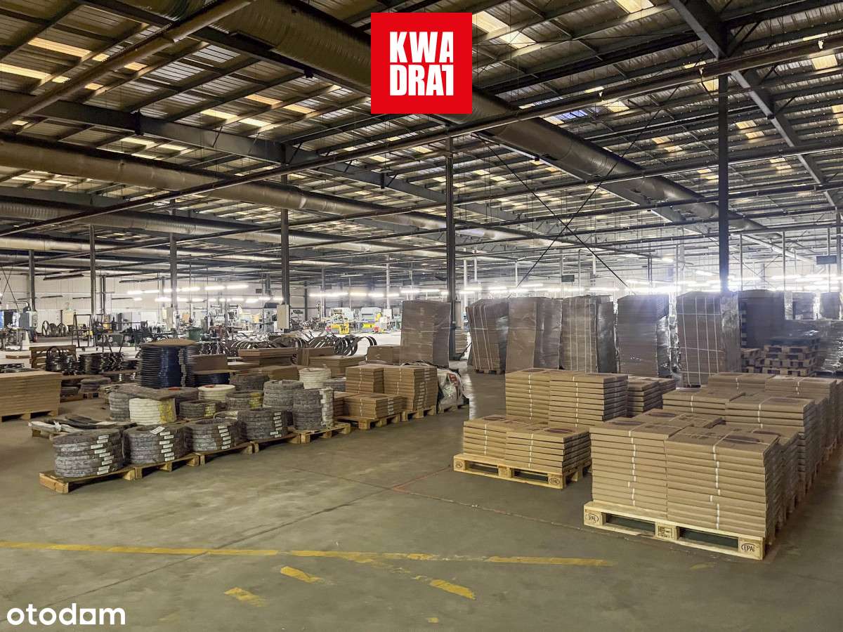 Investment Opportunity: Premium Industrial Complex-10