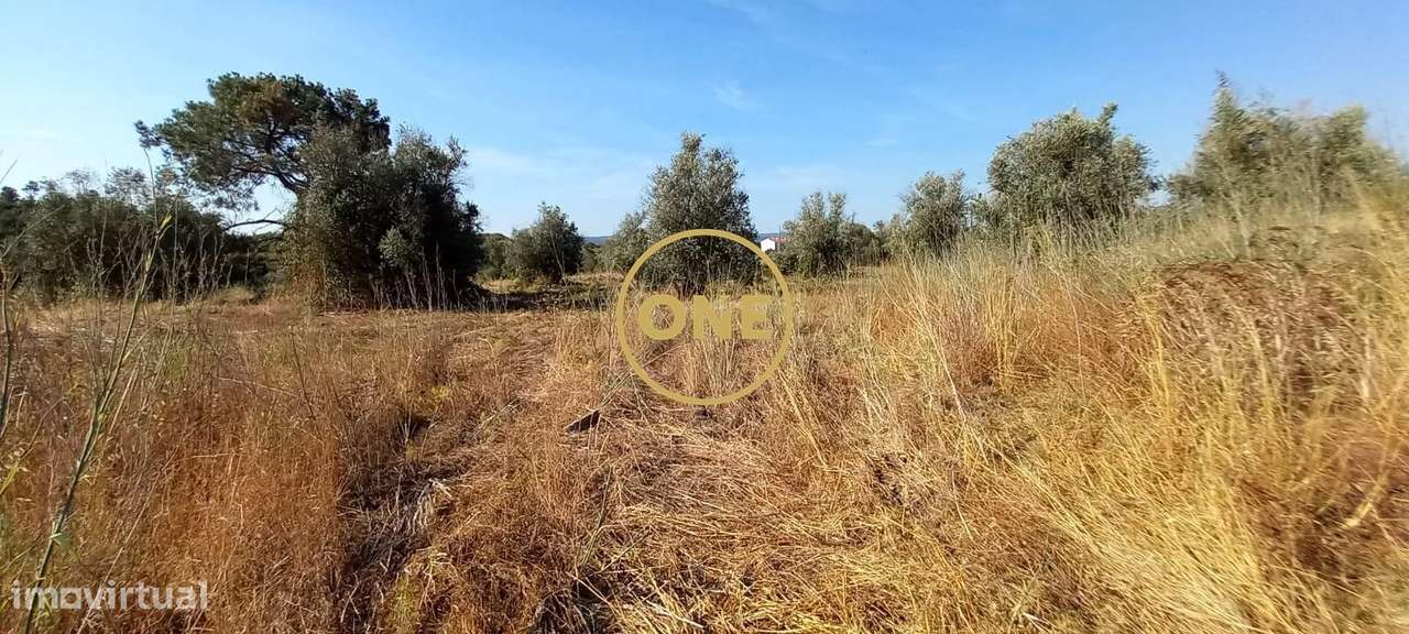 Terreno com 21.960 m2 e viabilidade construtiva | Vila Nova da Barquin-6