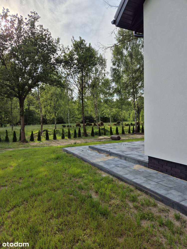 Dom w stanie deweloperskim - Pełny obrazek: 5/6