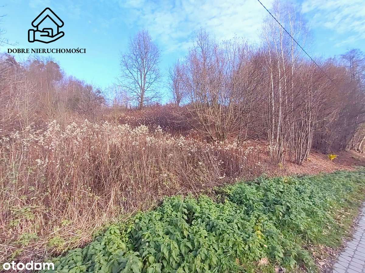 Duża działka - Kazimierz Dolny - Pełny obrazek: 4/10