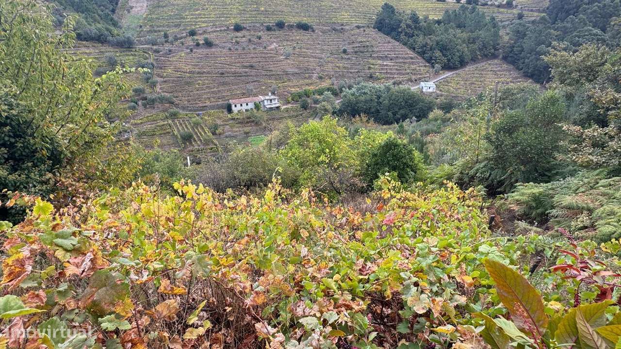 Quinta em Sedielos, Peso da Régua-9