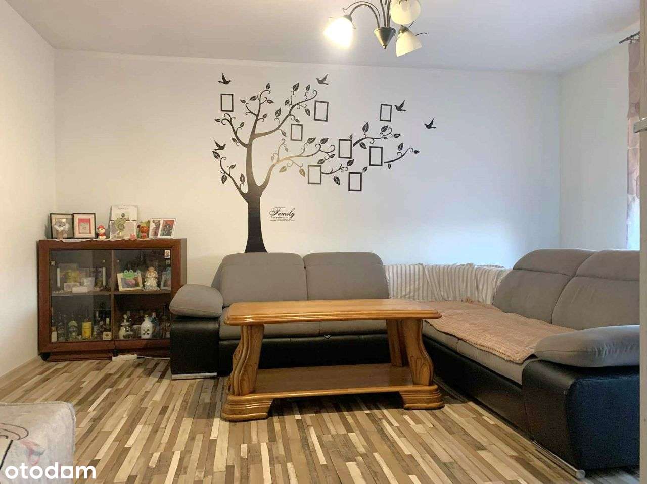 dom parterowy na wsi gm Goszczanów woj łódzkie-2