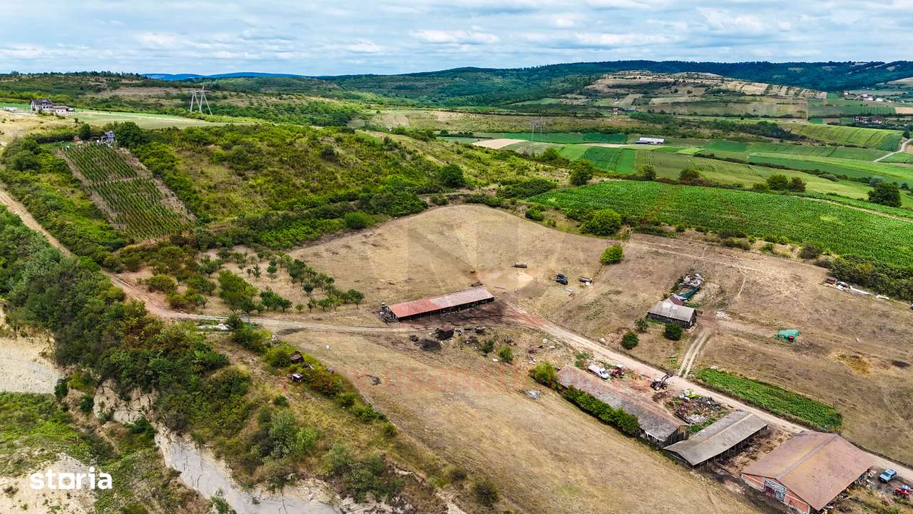 Teren de 2000 mp, deschidere la 2 strazi, Sura Mare |SkyVideo-6