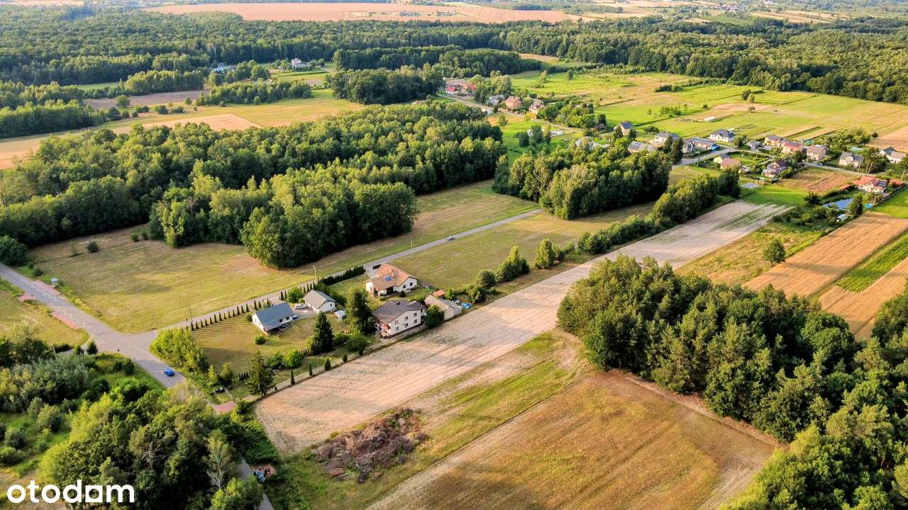 Piękna działka budowlana 20ar - Tomaszów / k. Puław - Pełny obrazek: 4/15